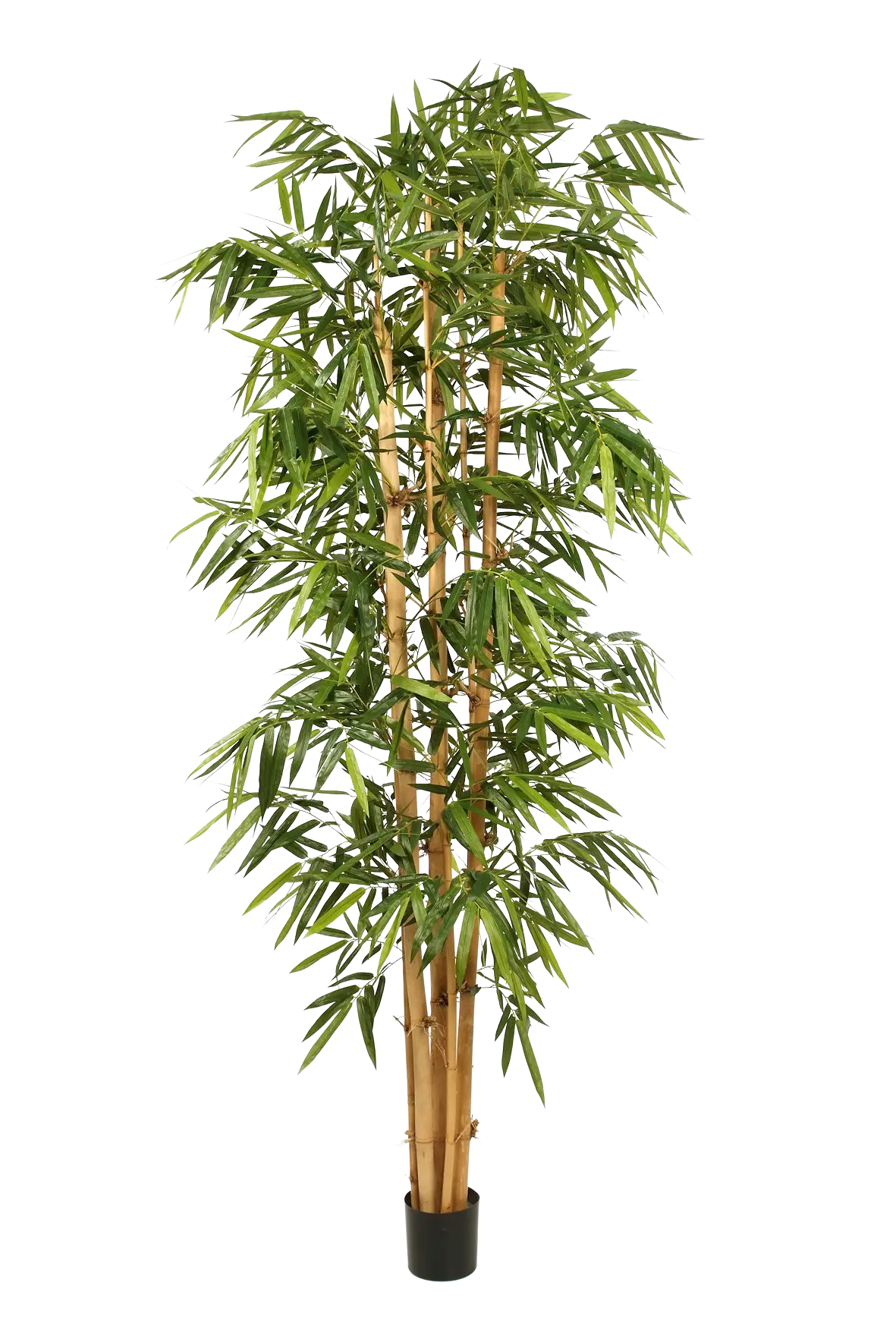 Künstlicher Bambus - Marlon, 300 cm, Kunstbaum von aplanta, mit Echtholzstamm, in Natur, für drinnen