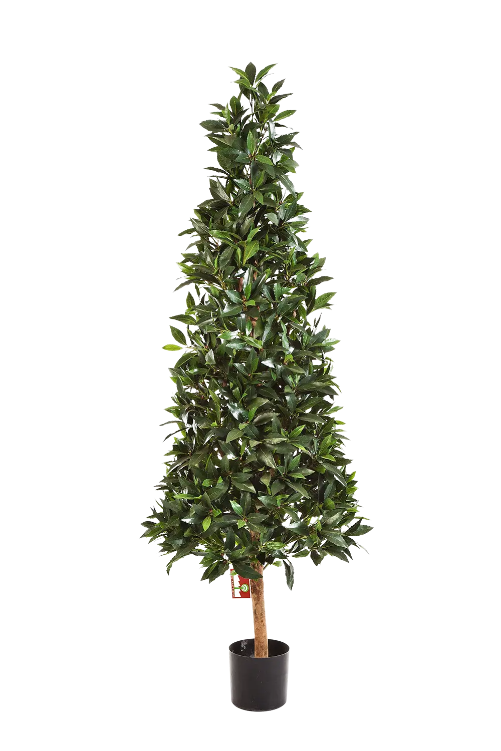 Künstliche Lorbeer - Teresa, 110 cm, Kunstbaum von aplanta, mit Echtholzstamm, im schwarzen Topf, in Natur, für drinnen