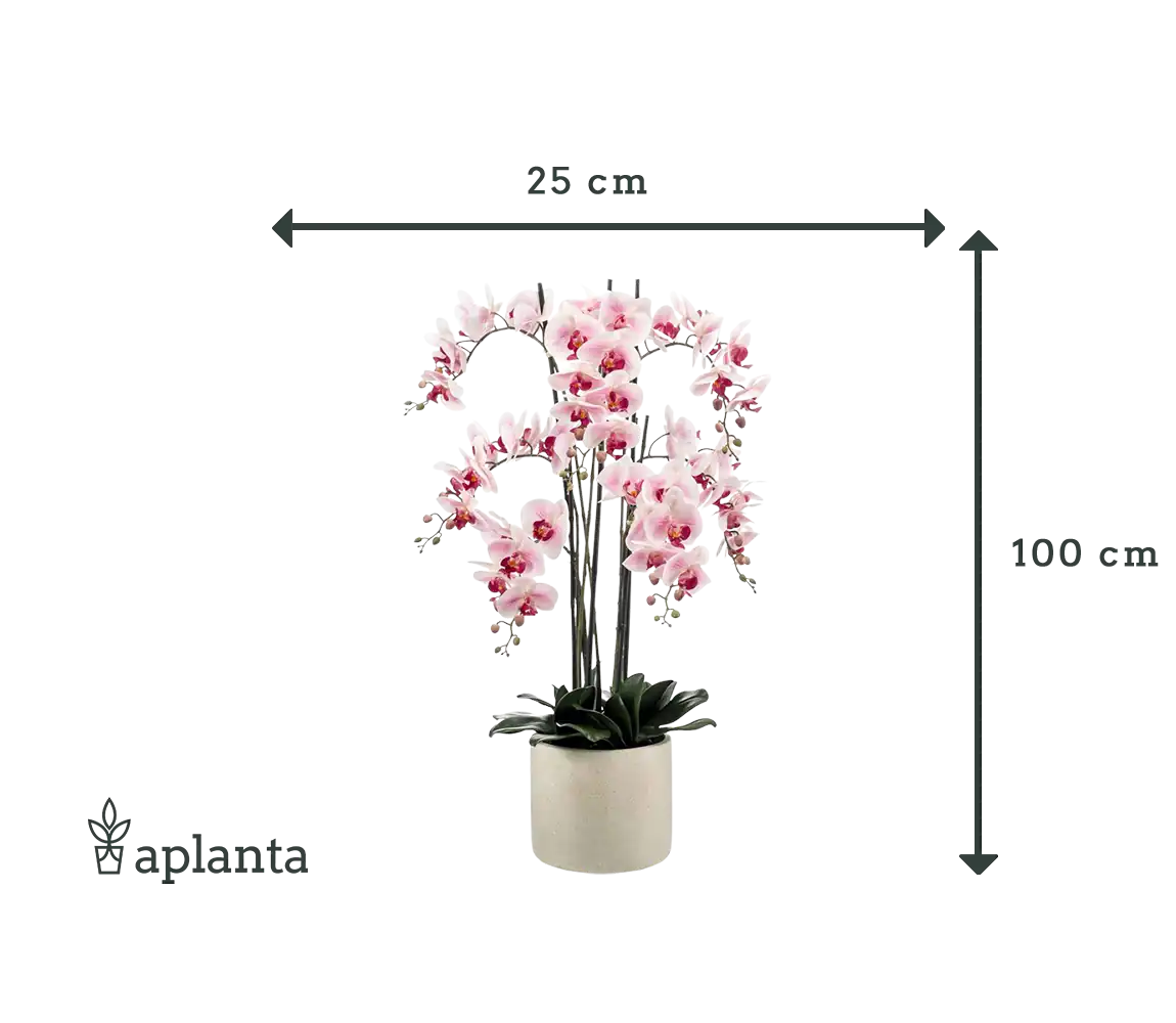 Künstliche Orchidee - Leo, 100 cm, Kunstblume von aplanta, inkl. Dekotopf, in Natur, für drinnen
