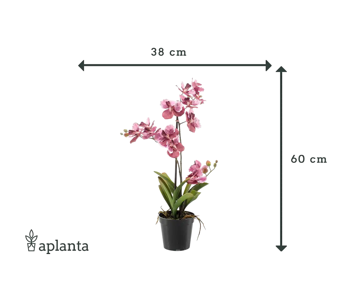 Künstliche Orchidee - Liam, 60 cm, Kunstblume von aplanta, im schwarzen Topf, in Pink, für drinnen